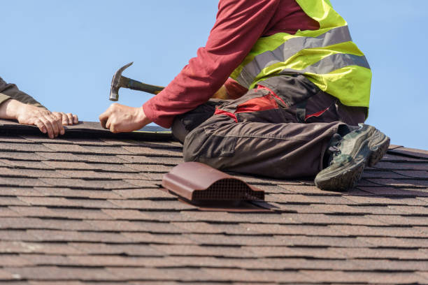 Best Roof Repair Services  in Erin, TN